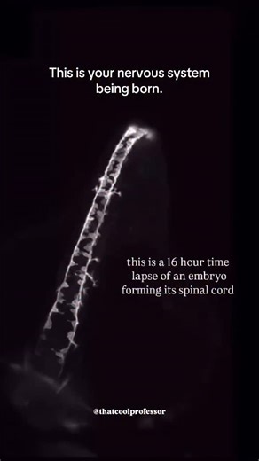 Abhay Mishra | Academic Advisor | Follow🎖️This is not CGI. Not animation. Not AI. What you’re watching is a 16-hour real-time process compressed into a time-lapse — an... | Instagram