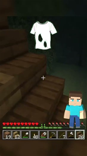 Сколько дырок в футболочке?