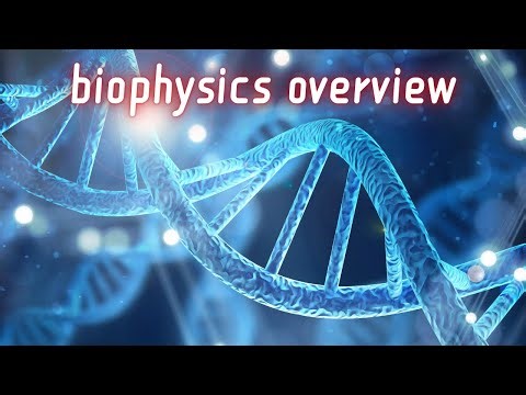 Overview of Biophysics in 30 Seconds