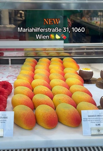 Wien, ihr seid unglaublich 😍💚 Danke an alle, die zur Eröffnung unserer neuen KASHTAN Location auf der Mariahilferstraße gekommen sind🥭 Wir sind euch sehr dankbar für euren Support! #fyp #fürdich #new