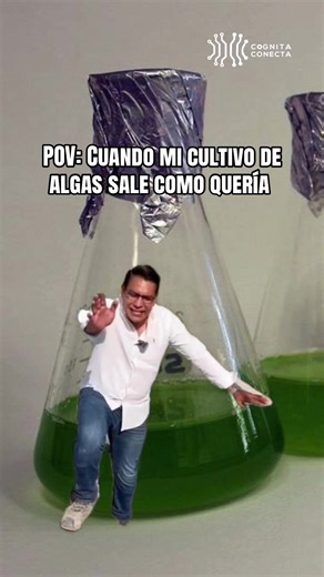 Conviértete en un experto en algas 🤩 🎓 Estudia con nosotros y obtén el certificado en “Especialización en Biotecnología de Algas! ✨👨‍🔬 𝟏𝟎𝟎% 𝐨𝐧𝐥𝐢𝐧𝐞 📌Link del curso: https://cognitaconecta.com/curso/ealgas/ 👩‍💻Solicita el brochure con toda la información 💚Escríbenos para más información a WhatsApp ( 51 928129351): https://wa.me/51928129351 #algas #biotecnologia #biotechnology #microalgae #biotechnologist microalgas, microalgae, espirulina, cultivo de microalgas, Chlorella