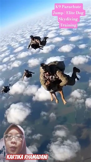 K9 Parachute Jump | Elite Dog Skydiving Training #dogtraining #germanshepherd #dogcoach #smartdog