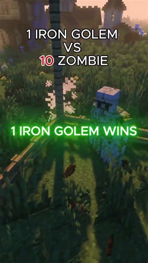 IRON GOLEM VS ZOMBIE