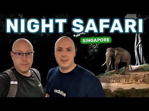 Night Safari Singapore Tour - Visiting the World's First Nocturnal Zoo! 🇸🇬