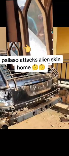 Pallaso Attacks Alien Skin Home: A Viral Encounter
