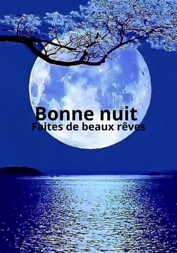#CapCut bonne nuit, c'est l'heure d'aller au lit, doux reves à demain tout le monde🥰🥰🥰❤️❤️❤️😴💤🛌🙏