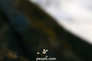 Small Amount Videos, Download The BEST Free 4k Stock Video Footage & Small Amount HD Video Clips