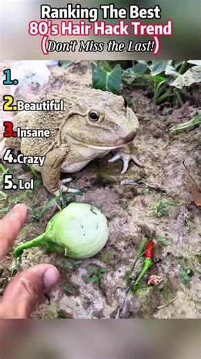 Funniest Frog Sounds 🐸