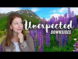 8 (more) reasons I wouldn't live in New Zealand