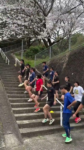 Lost Steps Training: Freshman Spring Edition - Blossom With Me