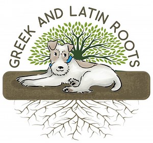 Early Medieval Europe (500 to 1000)