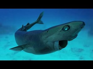 Cookie Cutter Shark: Nature’s Bite Thief!🍪🦈