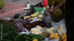 an indonesia woman hand picking out dogfruits or Archidendron pauciflorum (jengkol or jering) in plastic bag at a traditional market