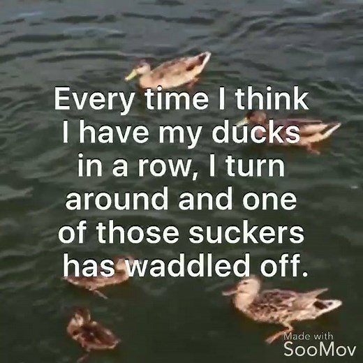 Always! www.princesspinkygirl.com | Princess Pinky Girl