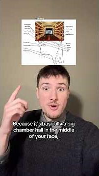 Why your voice sounds different when you’re sick