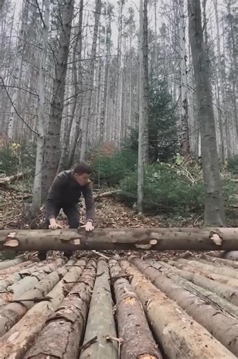 Building a Bushcraft Log Cabin for Survival in the Woods, Life Off The Grid.#bushcraft #adventure #outdoors #survival #camping #cabinlife #cabincrew #wilderness #logcabin | Complete Bushcraft