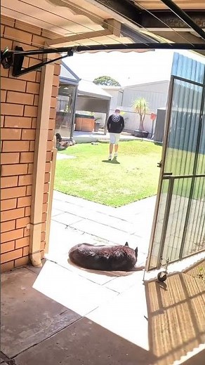 Testing out DJI mic 2 2 way wireless microphone with GoPro hero 12