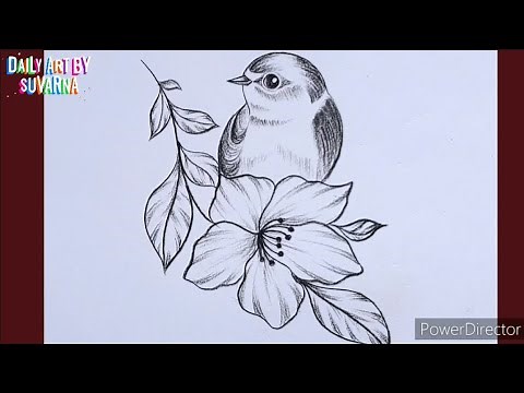 How to Draw a Bird with Flower | Bird Drawing