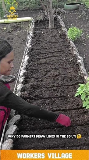 Manual Soil Row Marker Tool for Organized Garden Bed Planting