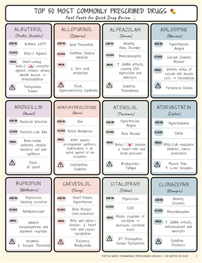 Top 50 Most Common Drugs (USA 2025) Cheat Sheet | Pharmacy Study Guide | Quick Med Reference for Rotations & Exams - Etsy