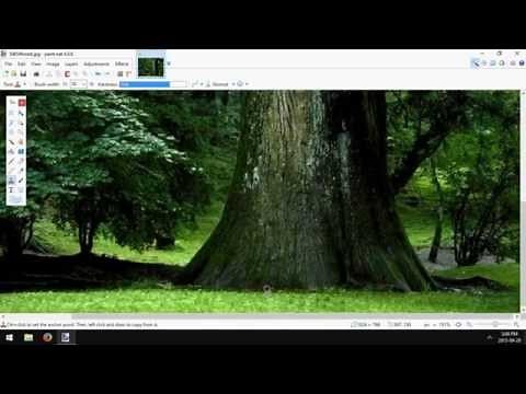 Paint.NET: How to Remove Basic Watermarks