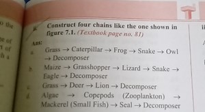 Construct four chains like the one shown in figure 7.1. (Textbo... | Filo