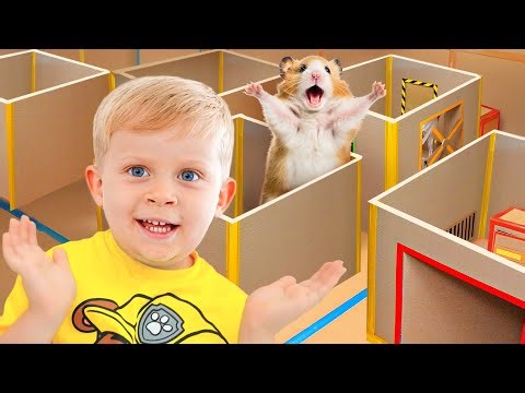 Gefangen im verrückten Hamsterlabyrinth – nur ein Weg führt raus!