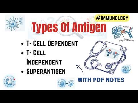 Antigen - 02 | T-Cell Dependent vs T-Cell Independent Antigen | Superantigen | Immunology