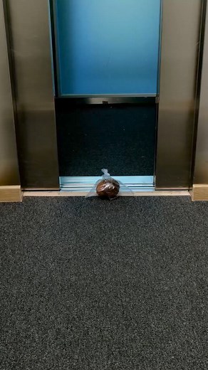 Ingenious ways to cut and peel vegetables and fruits! | Patch it