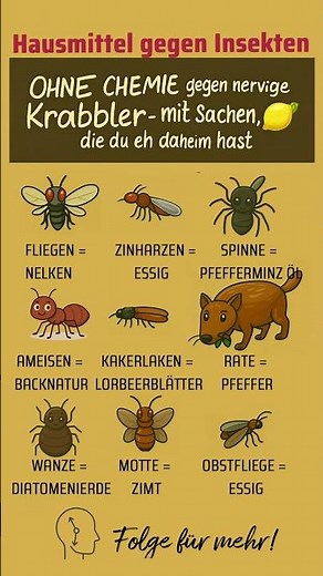 🪰 Ohne Chemie gegen Insekten! Diese Hausmittel wirken WIRKLICH 💯