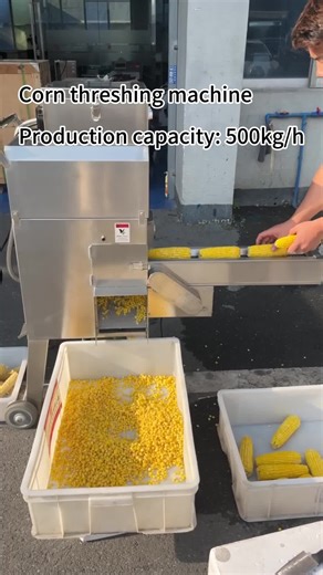 Corn threshing machine Maize threshing #foodmachinery #threshing #foodmachine