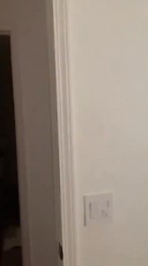 76K views · 2.3K reactions | #scarecam #scarepranks #fail #scarecamchallenge #funnyvideos #fypシ #funnytiktok #funny #foryou #fails #hahaha #fyp #reels | Funny Animals | Facebook