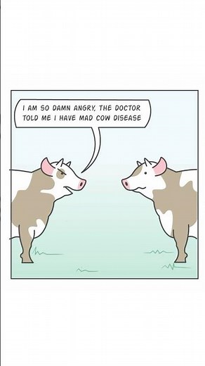 Mad cows