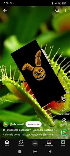 spring locks failure