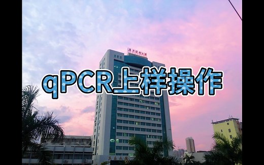 qPCR上样操作（实时荧光定量PCR）