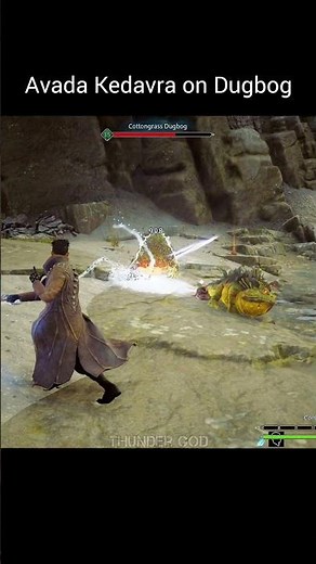Using Avada Kedavra on Dugbog in Hogwarts Legacy Gameplay #gaming #harrypotter #newgame