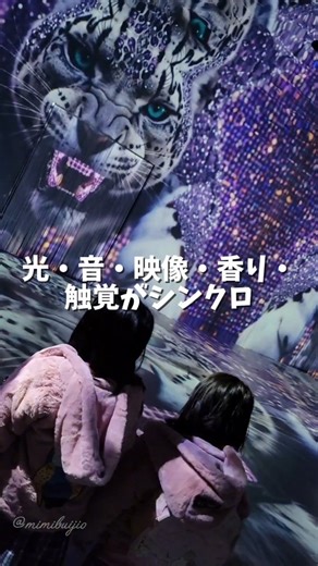 ゆき 🧸 関西グルメ︎┊︎︎美容┊︎子連れでお出かけ︎ | ꒰ テンションぶち上がる空間💐.°♡ ꒱‬ ┈┈┈┈┈┈┈┈┈┈┈┈┈┈┈┈┈┈┈┈┈ 大阪初となる常設デジタルアート施設 ⟬ MIRACLE WORLD ⟭が 12月5日(木) 大阪・なんばに- ̗̀𝙊𝙋𝙀𝙉 ̖́- ┈┈┈┈┈┈┈┈┈┈... | Instagram