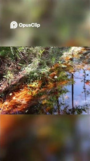 Epic Muddy Puddle Adventure So Much Water!