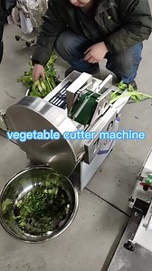 Multifunctional Green Onion Vegetable Chopper Vegetable and Fruit Cutting Machine