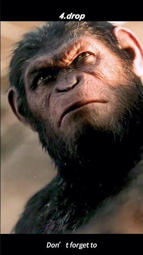 #movie #film Koba vs Caesar Final Battle & Fall Off Cliff – Dawn of the Planet of the Apes 🔥😱🐒