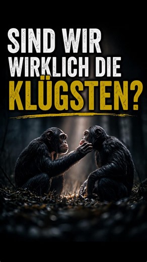 Was bedeutet Intelligenz wirklich?#short #viralshort