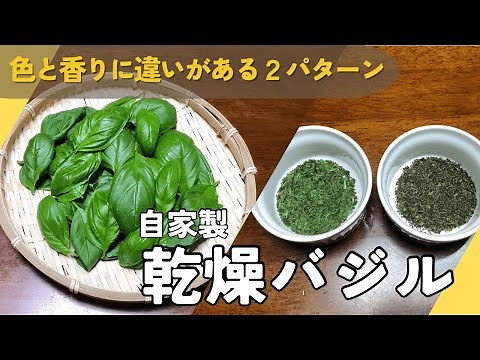 [Long-term storage of basil] How to make dried basil (dried basil) / Two patterns with different ...