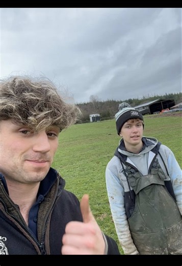 Electric Fencing: Pros and Cons Explained