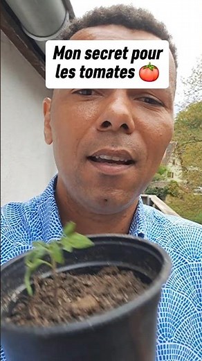 Pourquoi tes Semis de Tomates ne poussent pas? 😱🍅🌱