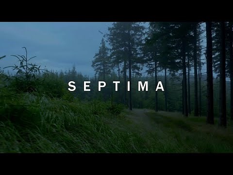 SEPTIMA - Foggy forest walk [4K]