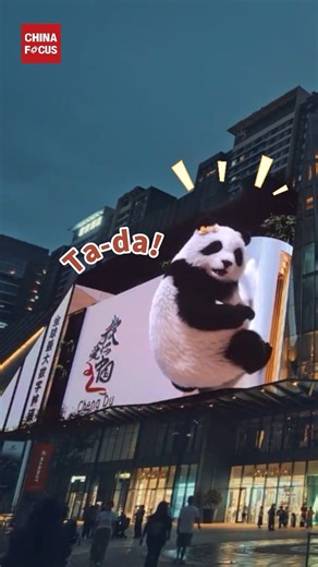 China Focus on Instagram: "It looks like this giant panda is leaping right off the screen!🐼 Since their debut in 2024, the captivating glasses-free 3D pandas have enchanted not only locals but also visitors, establishing themselves as a beloved attraction in Chengdu, southwest China's Sichuan Province. Now they have new moves!"