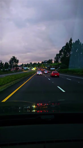 Exploring the LIVE Incentive Program: A Comprehensive Insight