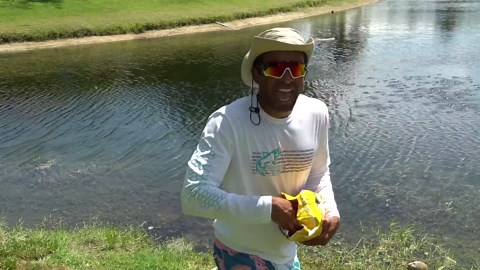 How a baby turtle survived inside a snakehead