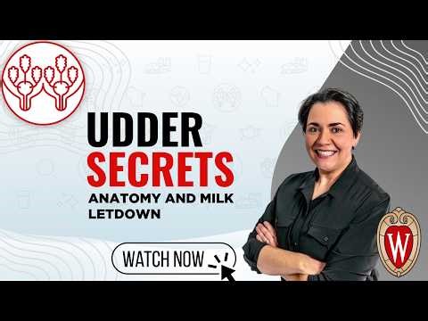 Udder Secrets: Anatomy and Milk Letdown