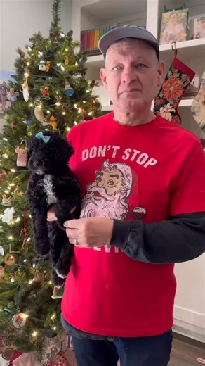 Meet Bluey, our sweet mini Goldendoodle girl who is ready to go home now. She has been microchipped, temperament tested, has received her first vaccinations, and comes with a 2-year health guarantee. Bluey is already doing great with crate training and early potty training. There’s still time to welcome her home just in time for Christmas morning 💙🎄 📱For more information, call or text (252) 202-9605. #MiniGoldendoodle #GoldendoodlePuppy #HolidayPuppy #ChristmasPuppy #DoodleLife PuppyLove Fami